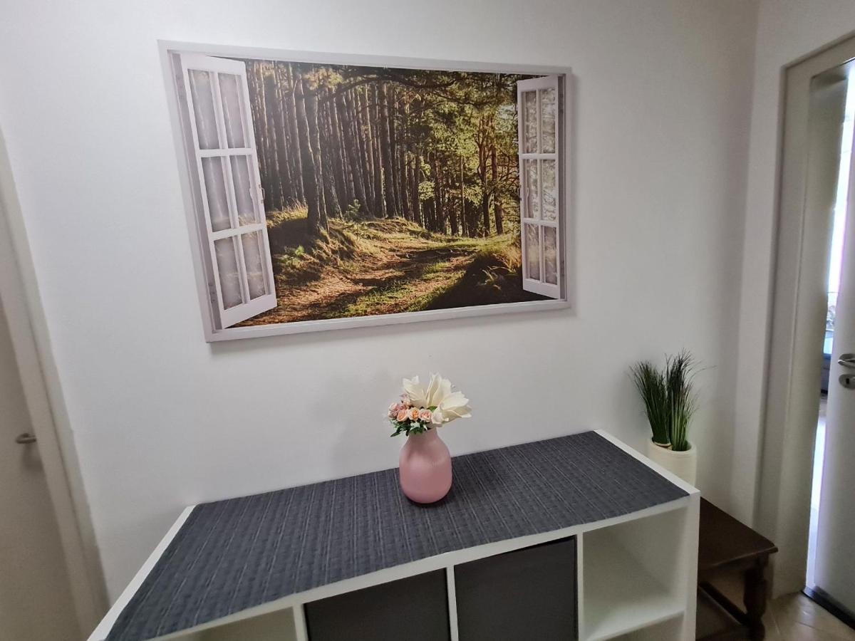 Zum Hasen Apartment *